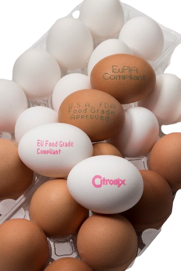Printing onto eggs page image Printing onto eggs